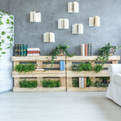 Casa elan holiday home management